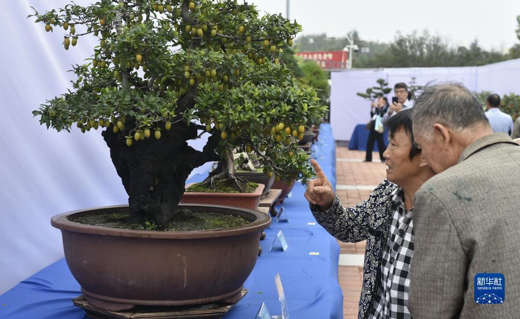 赢咖3娱乐平台